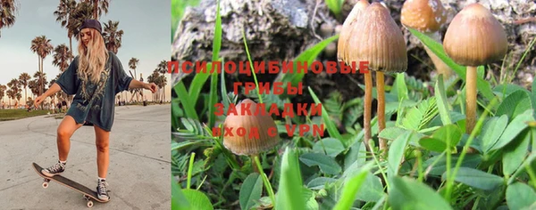 прущая мука Алзамай