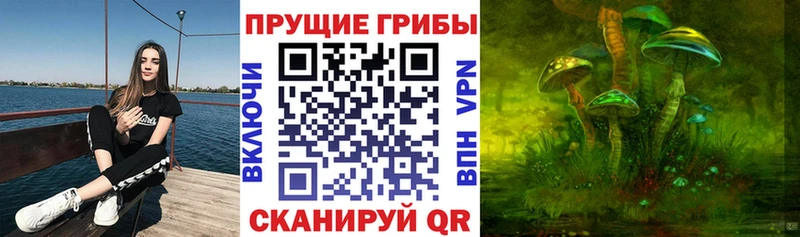 Галлюциногенные грибы мухоморы Дмитриев