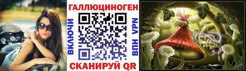 Псилоцибиновые грибы Cubensis  закладка  Дмитриев 