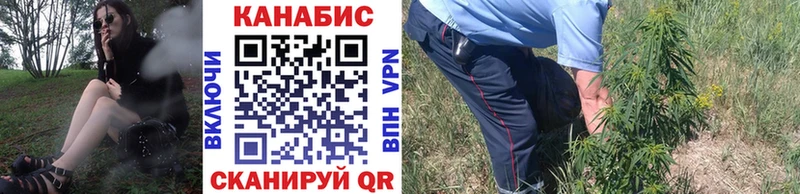 МАРИХУАНА план Дмитриев